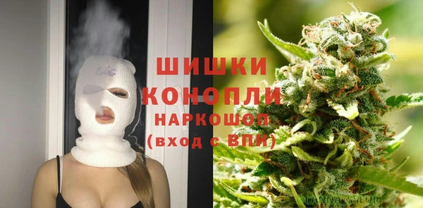 гидропоника Алзамай